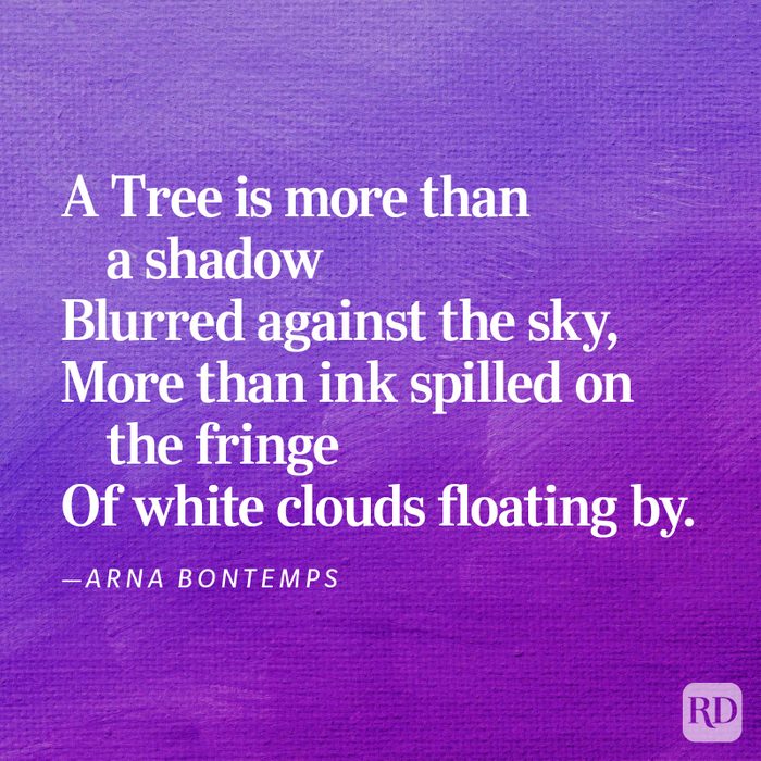 Short Poem 19 V2