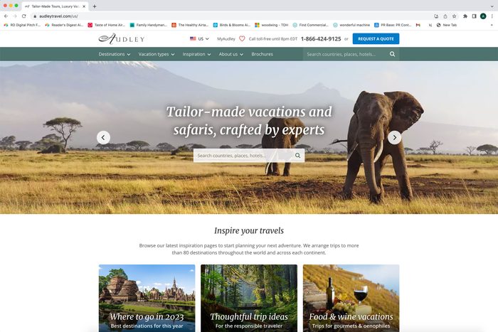 Elephant standing in grassy savannah with Mount Kilimanjaro backdrop, highlighting safari tours; 