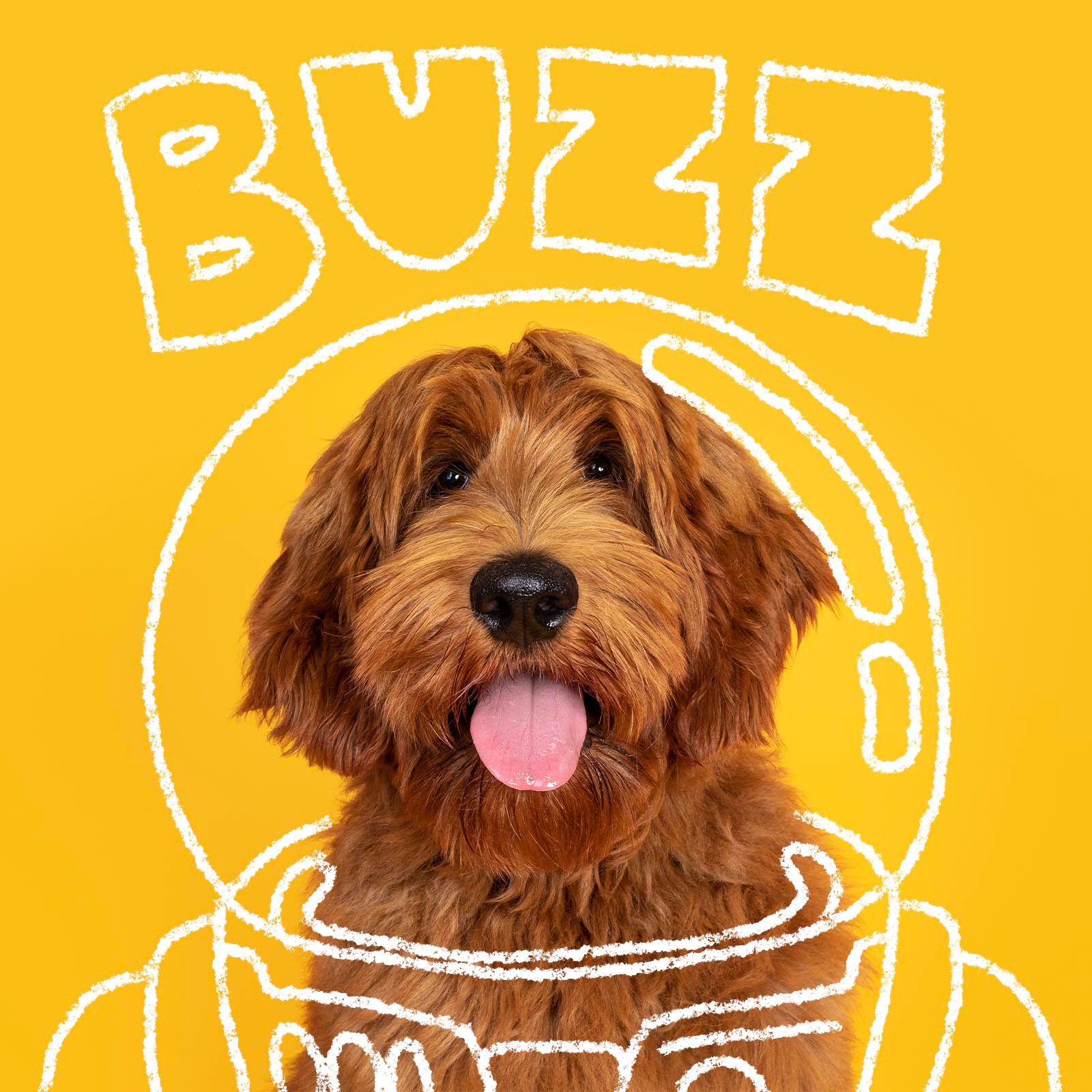 Disney Inspired Dog Names Buzz