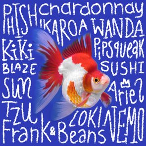 Goldfish swims among various names written in white on a vibrant blue background.