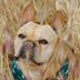 Dog Owners Need to Be Extra Careful Outside This Summerâ€”Here's Why