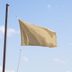 What Is a Beige Flag? What Being a Beige Flag Means