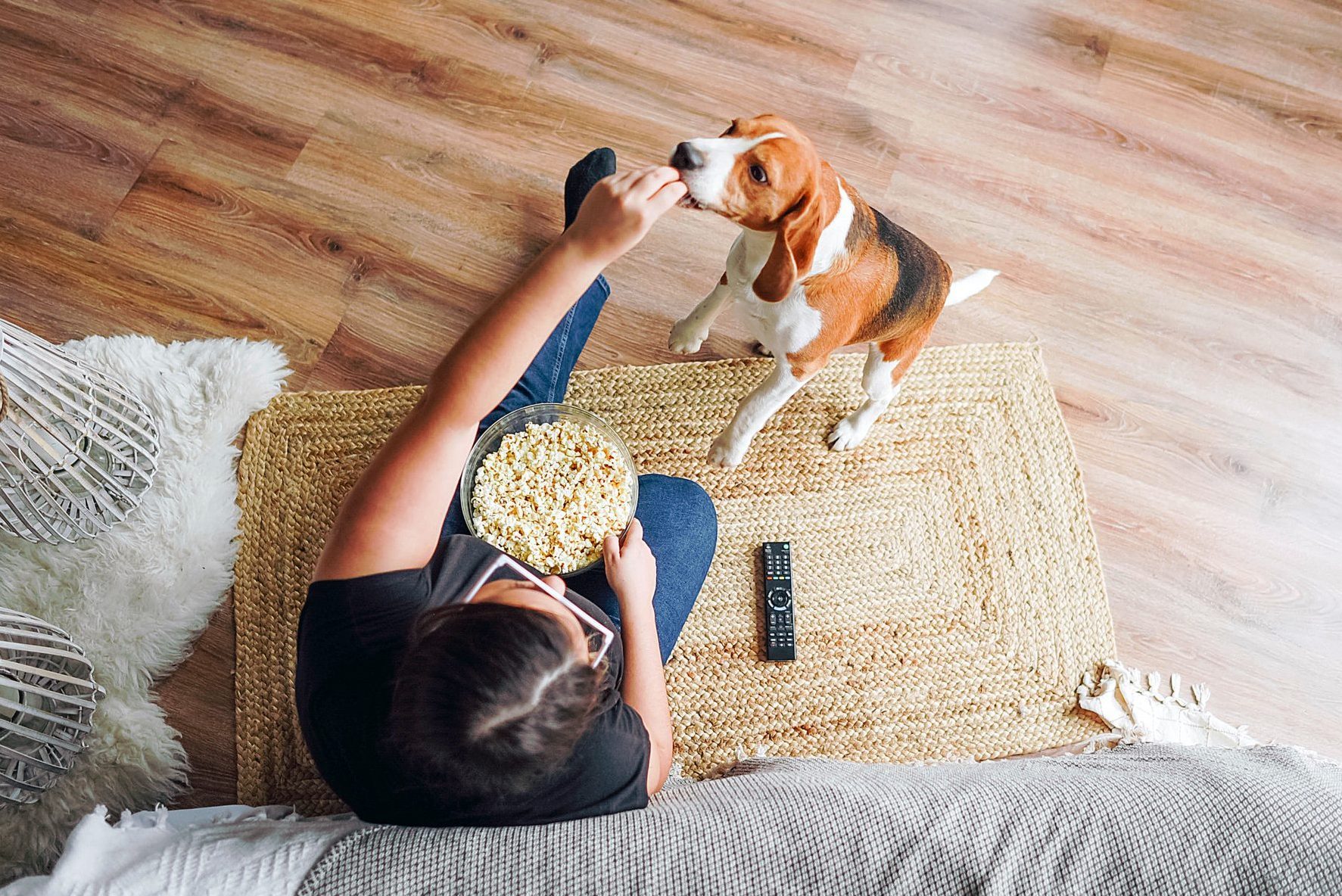 Can Dogs Eat Popcorn? Here’s What Vets Say