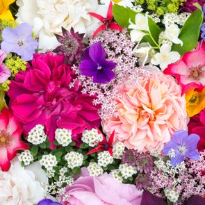 A vibrant assortment of various blooming flowers creates a colorful, dense floral arrangement against a backdrop of green leaves.