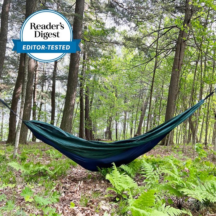 Hammock hangs between trees in a lush forest; green ferns cover the ground. A 
