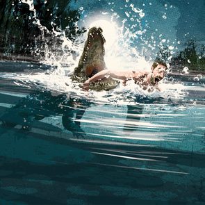 Crocodile bites a man's leg in a river, splashing water intensively under a bright sky surrounded by trees.