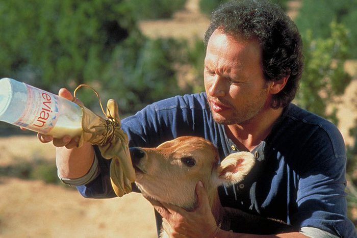 City Slickers Movie
