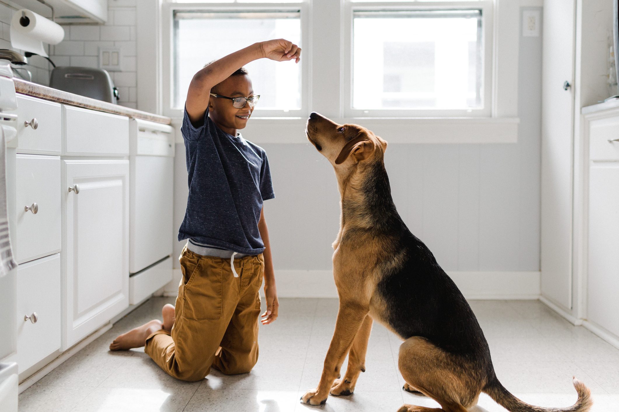 How to Train a Dog with Basic Commands, Cute Tricks and More