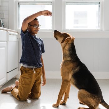 A boy kneels, holding a treat, while a dog sits attentively in a bright kitchen.