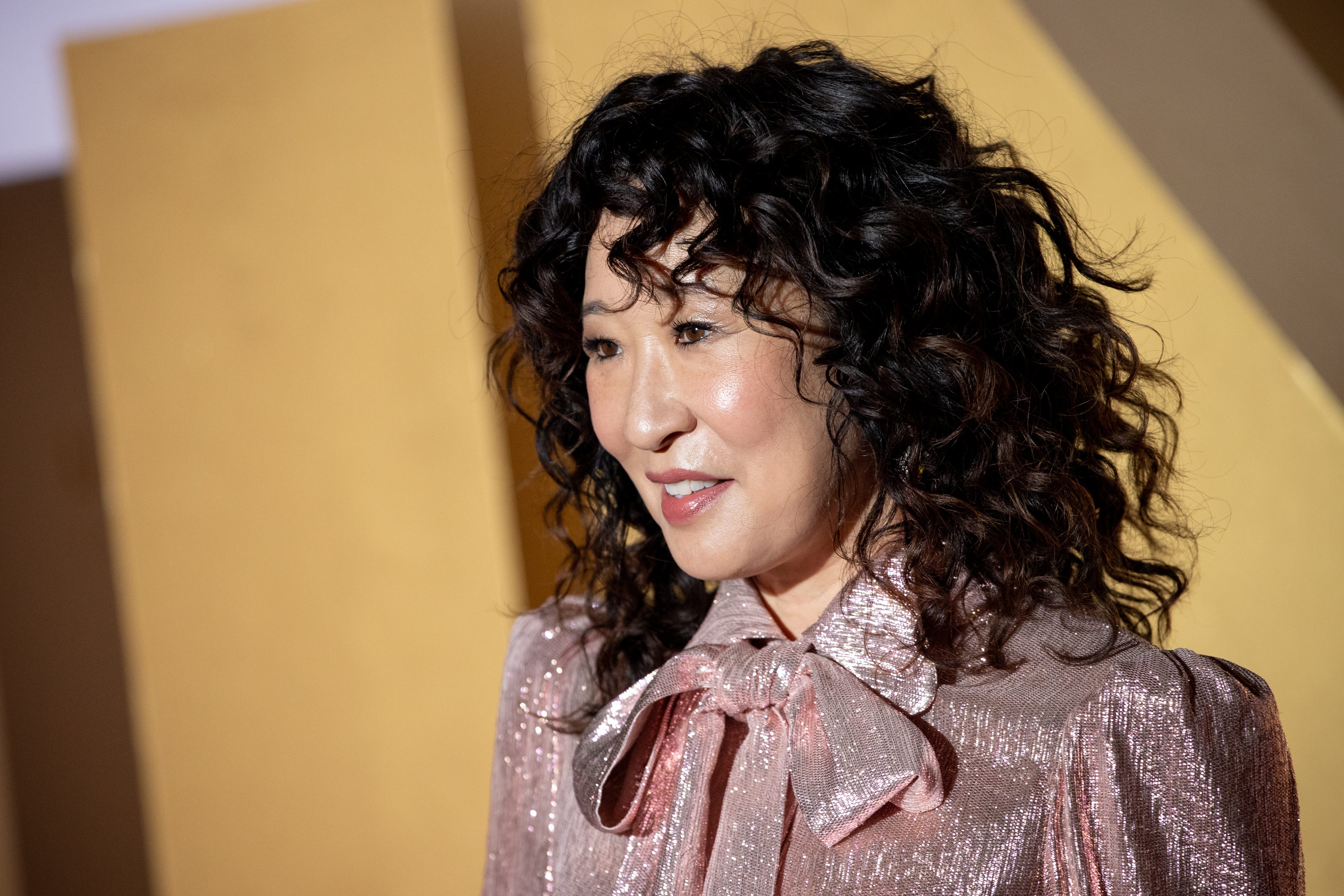 Woman smiling, wearing a sparkling pink blouse with a bow, against a warm, golden background.