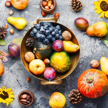 Bowl holding assorted fruits and nuts, surrounded by pumpkins, pears, apples, plums, sunflowers, pinecones, and leaves on a textured gray surface.