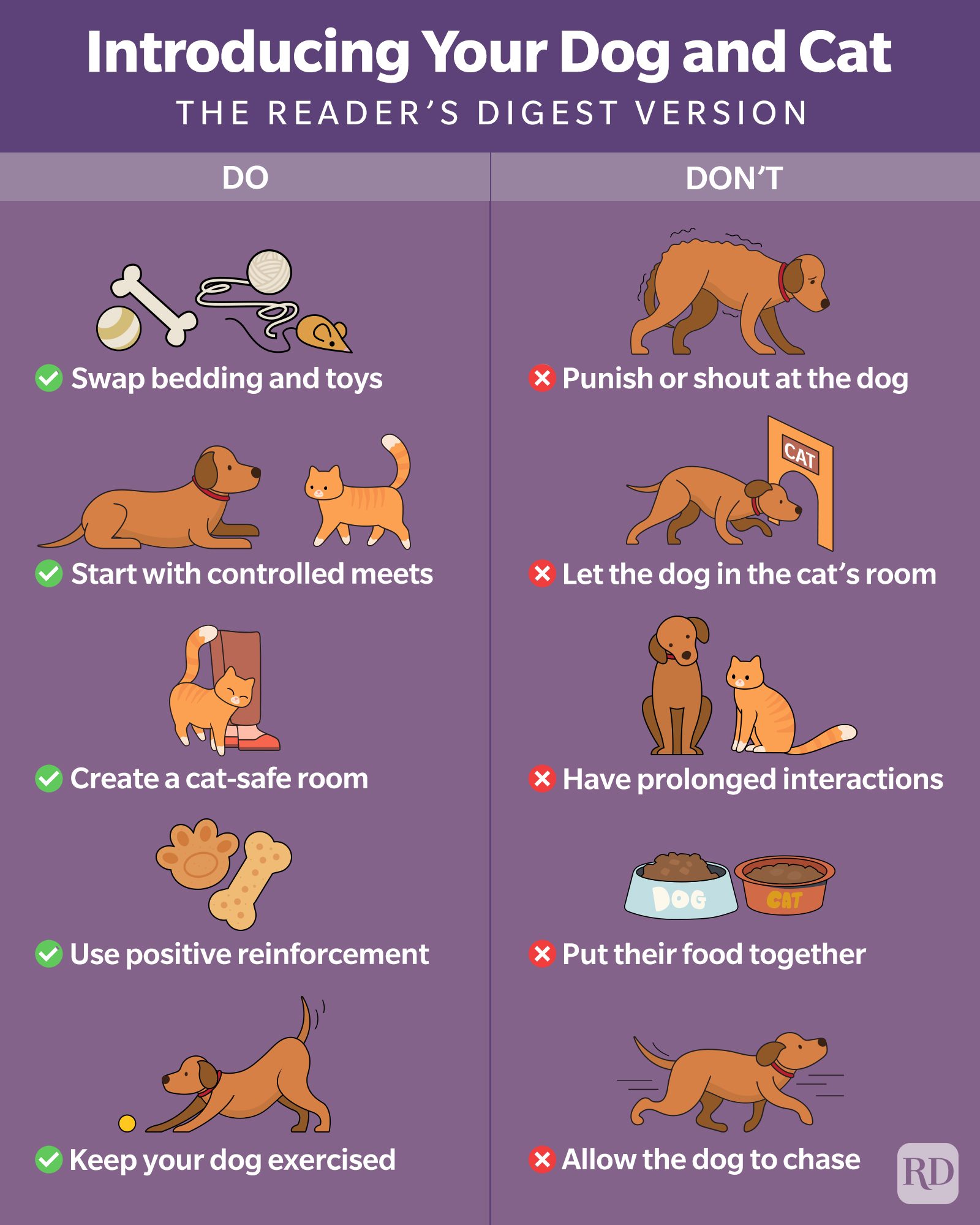 Do Dogs Really Hate Cats Heres What The Experts Say