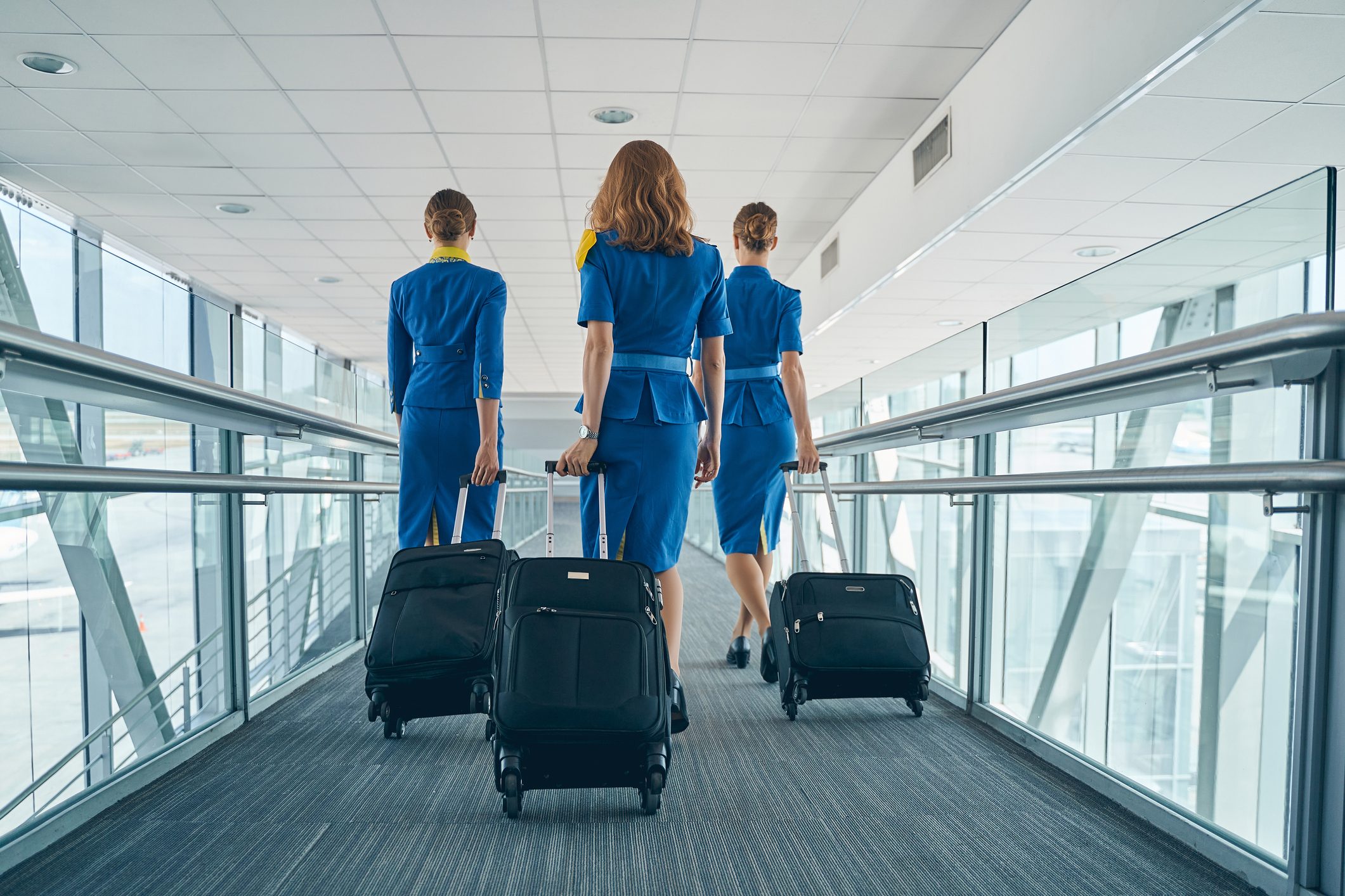 Flight Attendants Use a Secret Language—Here’s How to Decode It