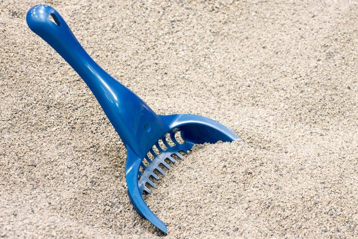 Clean Cat Litter With A Blue Scoop