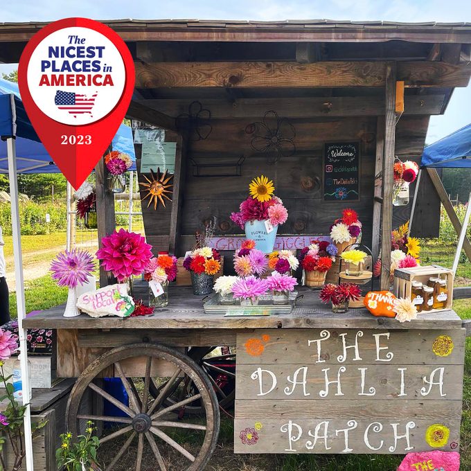 Flower cart displays colorful blooms and jars, surrounded by greenery, featuring a 