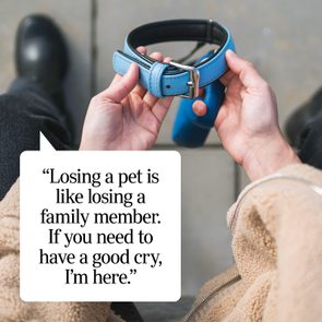 Hands hold a blue dog collar outdoors. A message reads, 