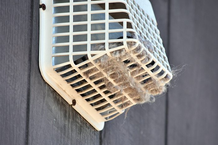 Dryer Vent