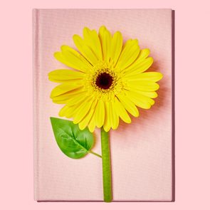 Yellow daisy lies atop a closed pink book, against a soft pink background.