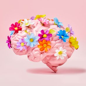 A pink brain adorned with colorful flowers rests on a pink background, creating a vibrant, contrasting visual.