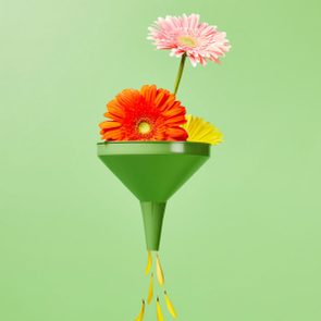 A green funnel holds colorful flowers, with yellow petals pouring out below, set against a solid light green background.