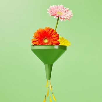 A green funnel holds colorful flowers, with yellow petals pouring out below, set against a solid light green background.