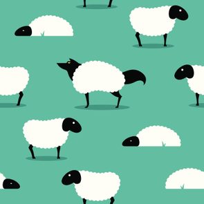 A wolf, disguised as a sheep, stands among undisturbed sheep on a teal background.