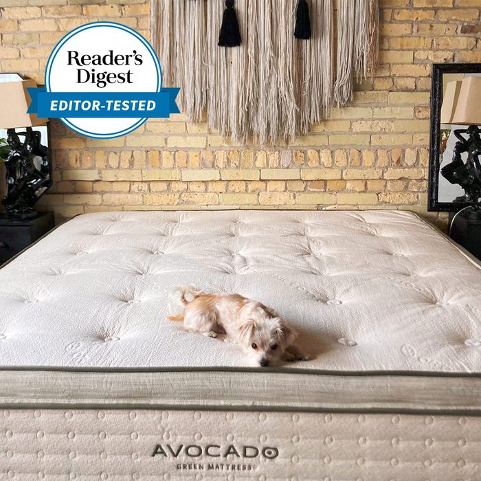 Dog resting on a large, tufted mattress in a cozy bedroom with brick walls and decorative wall hanging. Text: 