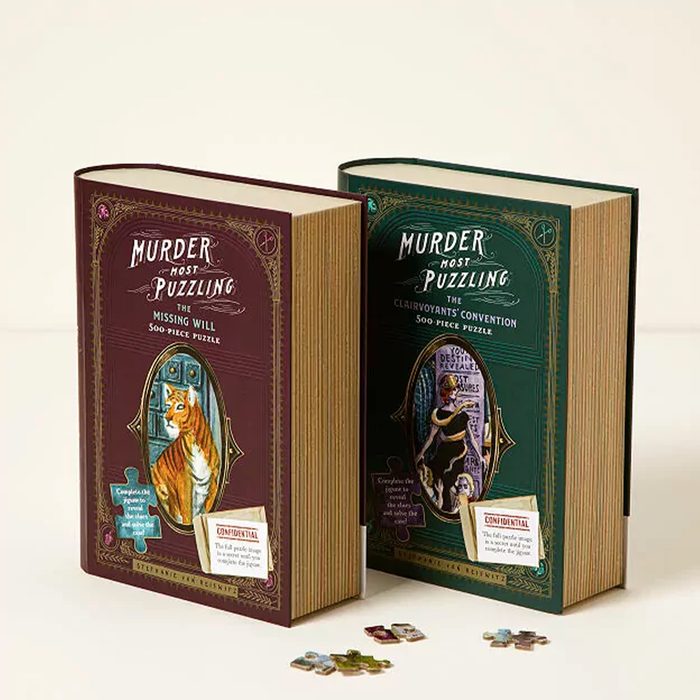 Two puzzle boxes resembling books stand upright, with puzzle pieces scattered nearby. They are titled 