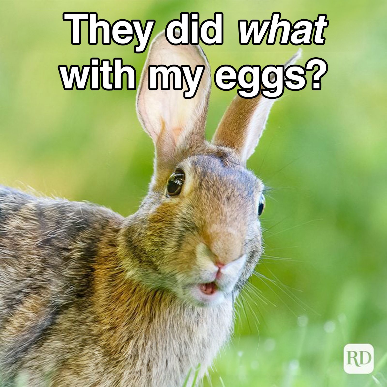 Easter meme