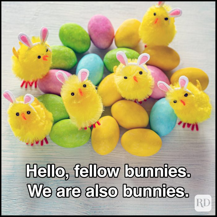 Easter memes