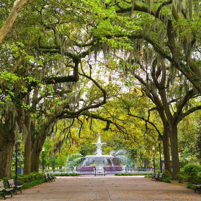 Fountain sprays water, surrounded by benches and path under sprawling trees adorned with Spanish moss in a lush park setting.