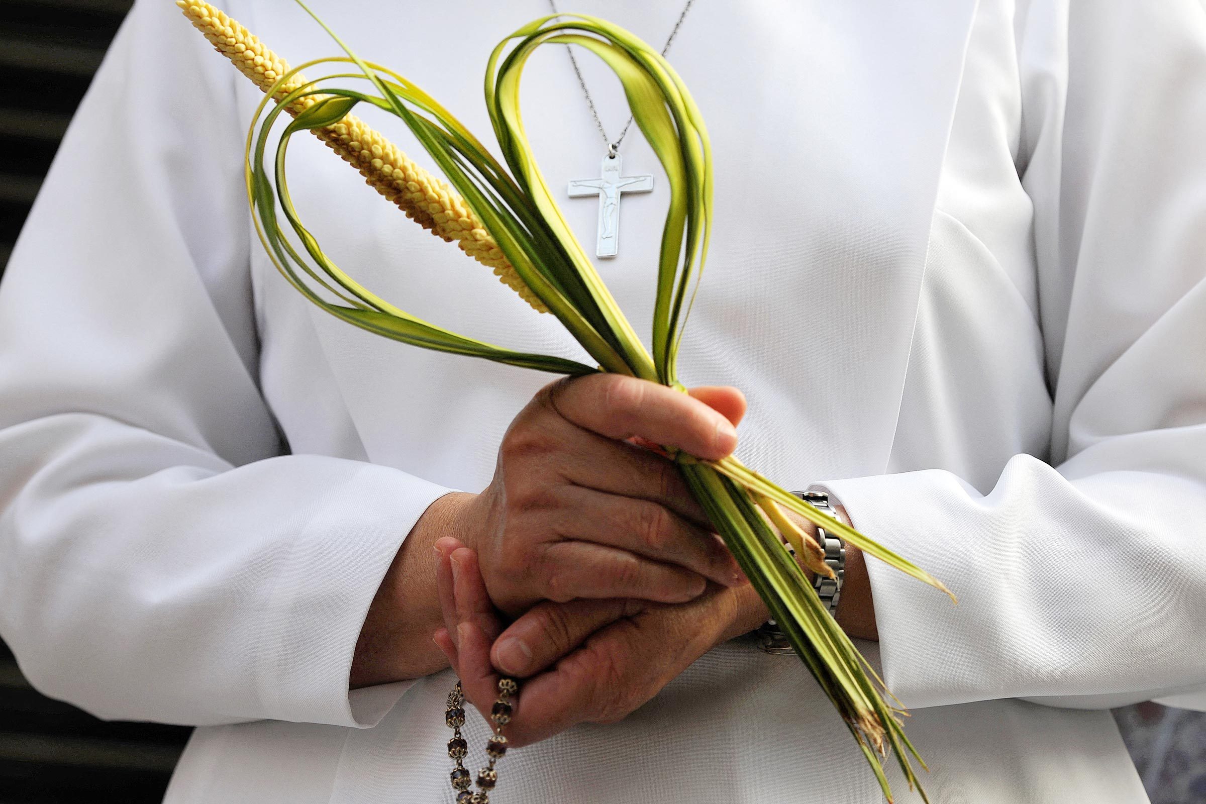 When Is Palm Sunday, and Why Do We Celebrate It?