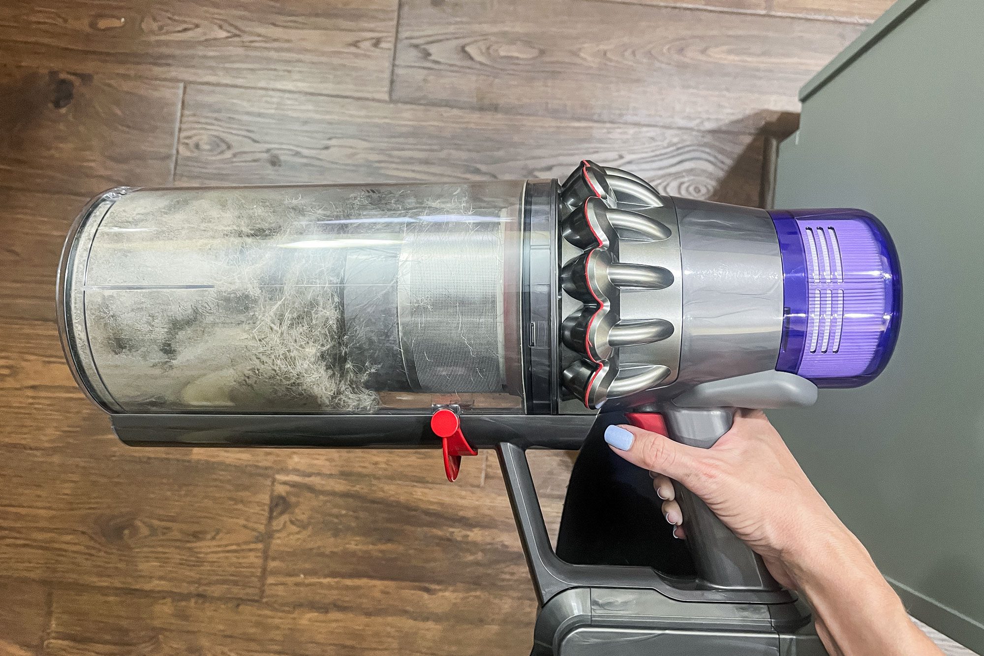 Fhma23 Dyson Outsize Plus Vacuum Nancy Snyder 01b Ksedit