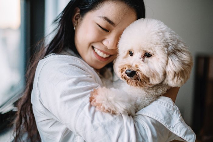 small poodle cuddling owner