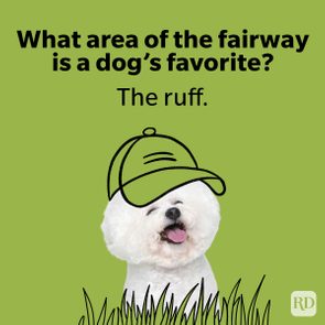 Dog wearing drawn cap, smiles in grass; green background. Text reads, 