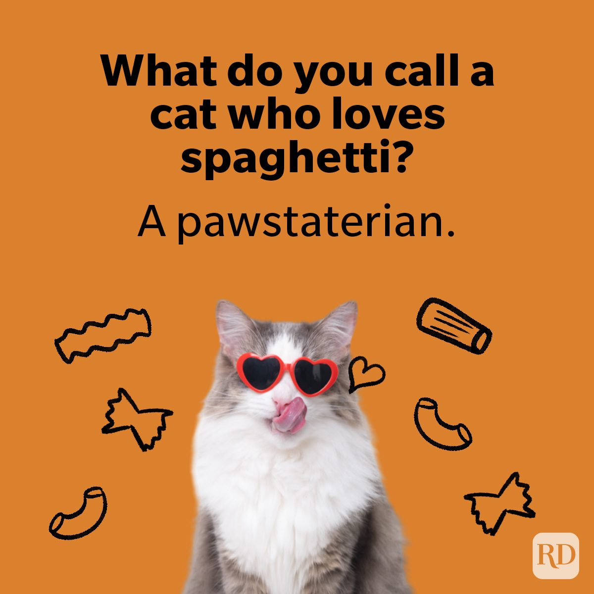 Cat Puns