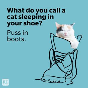 Cat sleeps inside a boot illustration; text reads, â€œWhat do you call a cat sleeping in your shoe? Puss in boots.â€