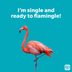 62 of the Best Animal Puns That Are Fur-Ever Funny