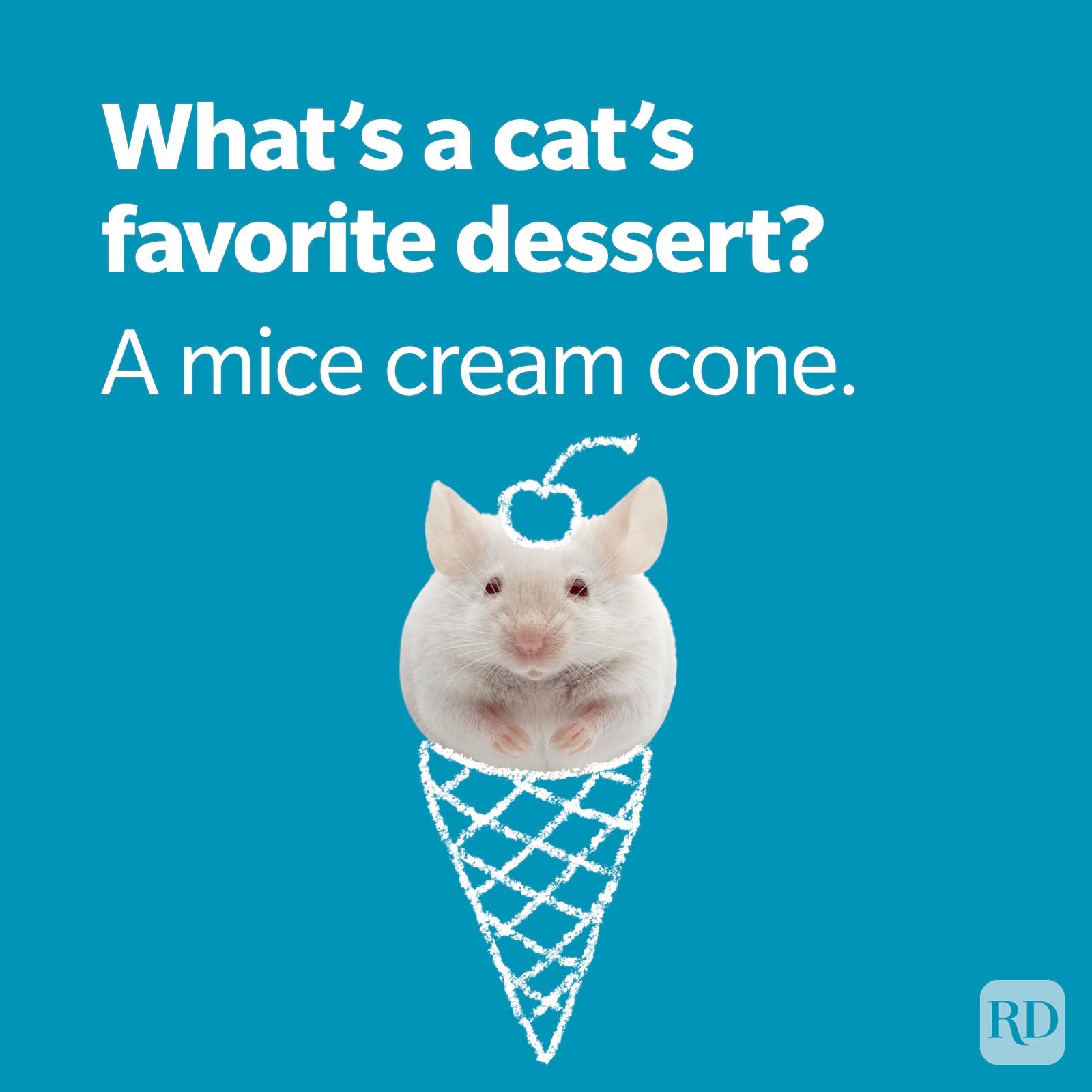 Cat Joke