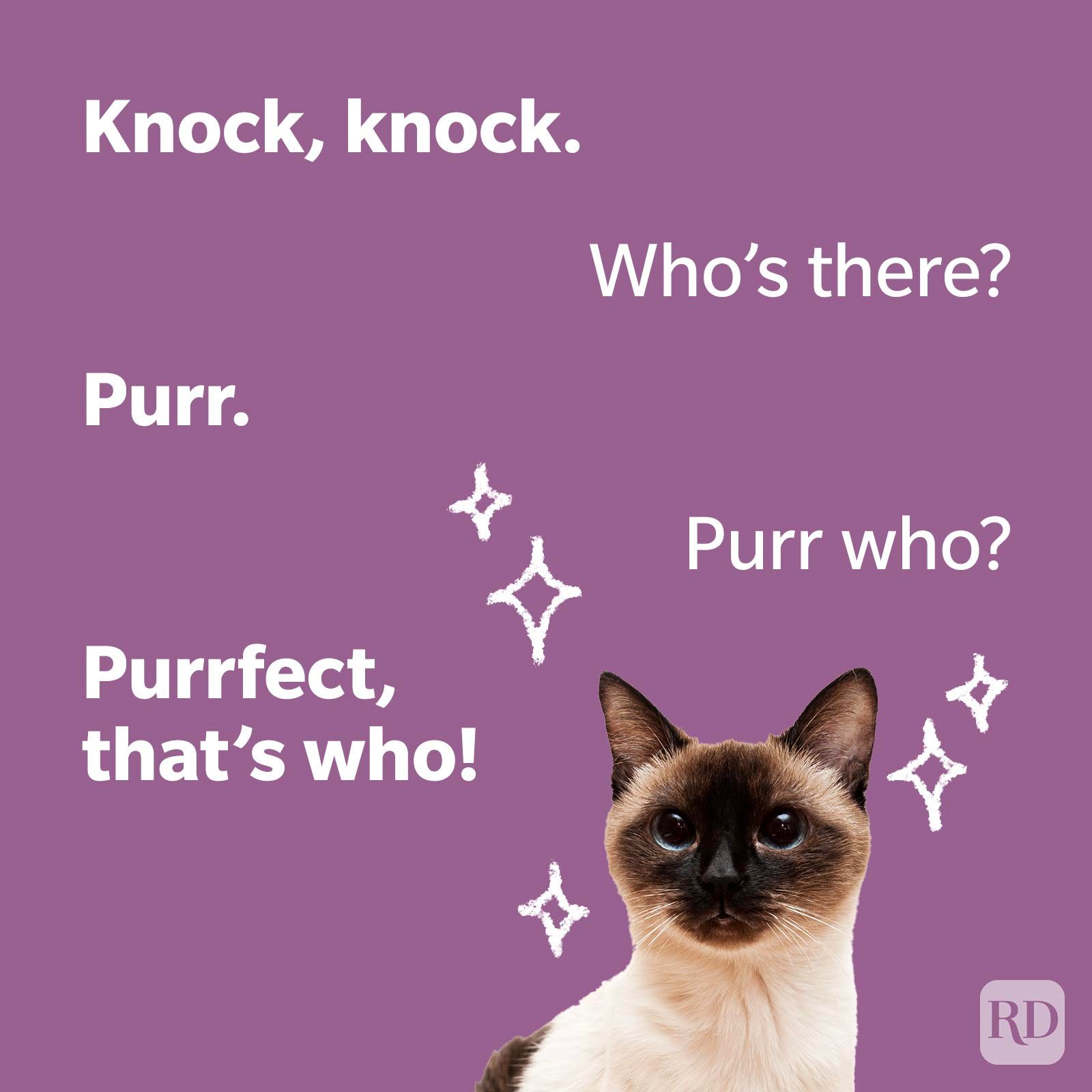 Cat Joke