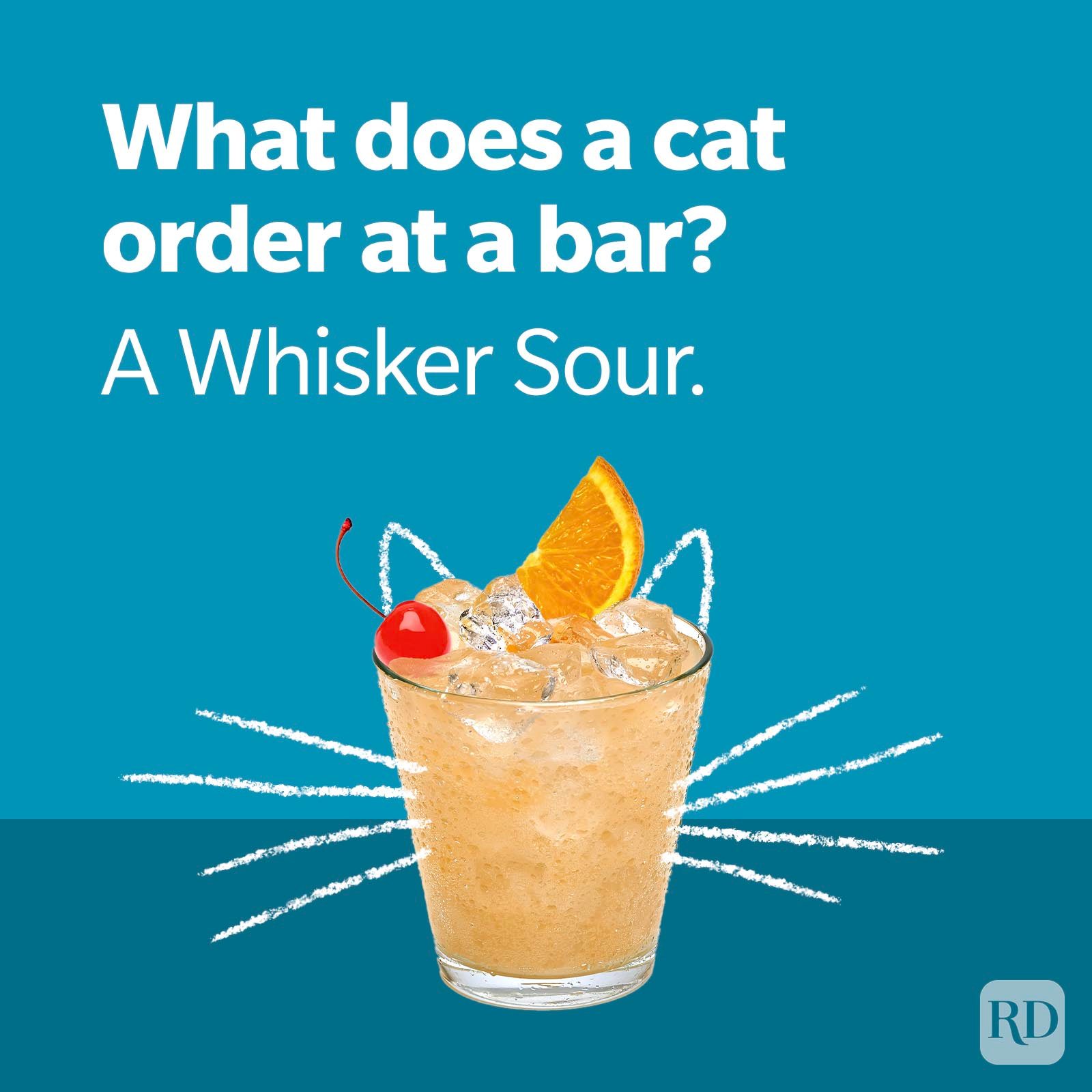 Cat Joke