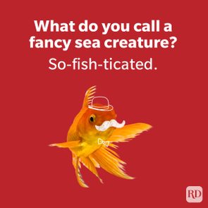 Goldfish wears a hat and mustache, adorned with a bow tie, floating against a red background. Text reads: 