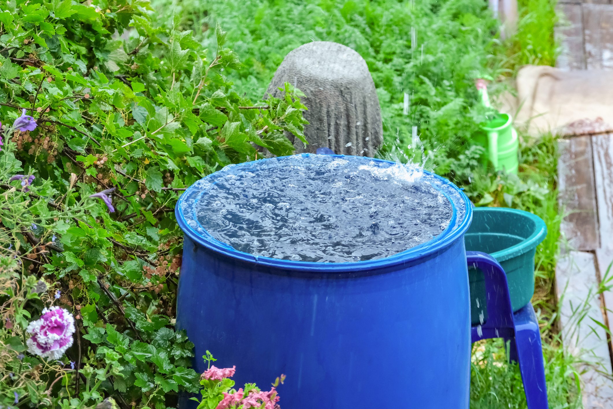 Can You Go to Jail for Collecting Rainwater?