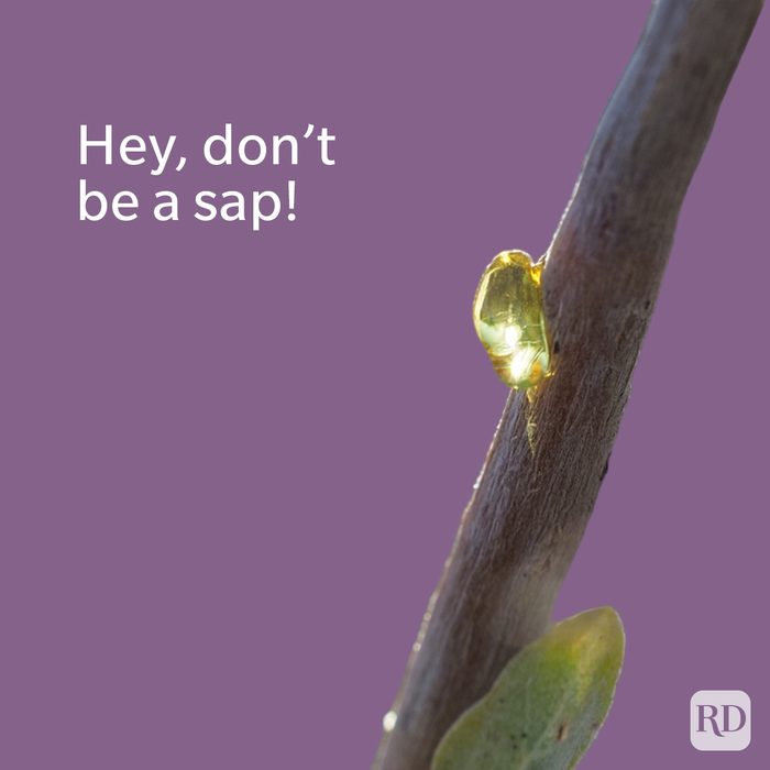 Tree Puns