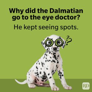 Dalmatian sits wearing glasses, looking curious. Text: 