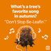 100 Fall Jokes That Are Funny Beyond Be-Leaf