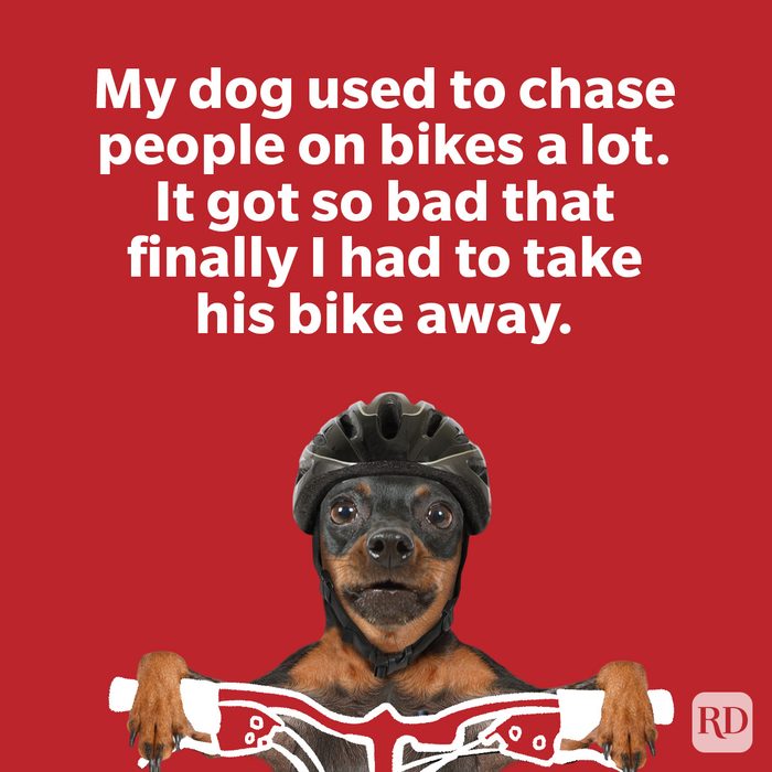 Funny One Liners