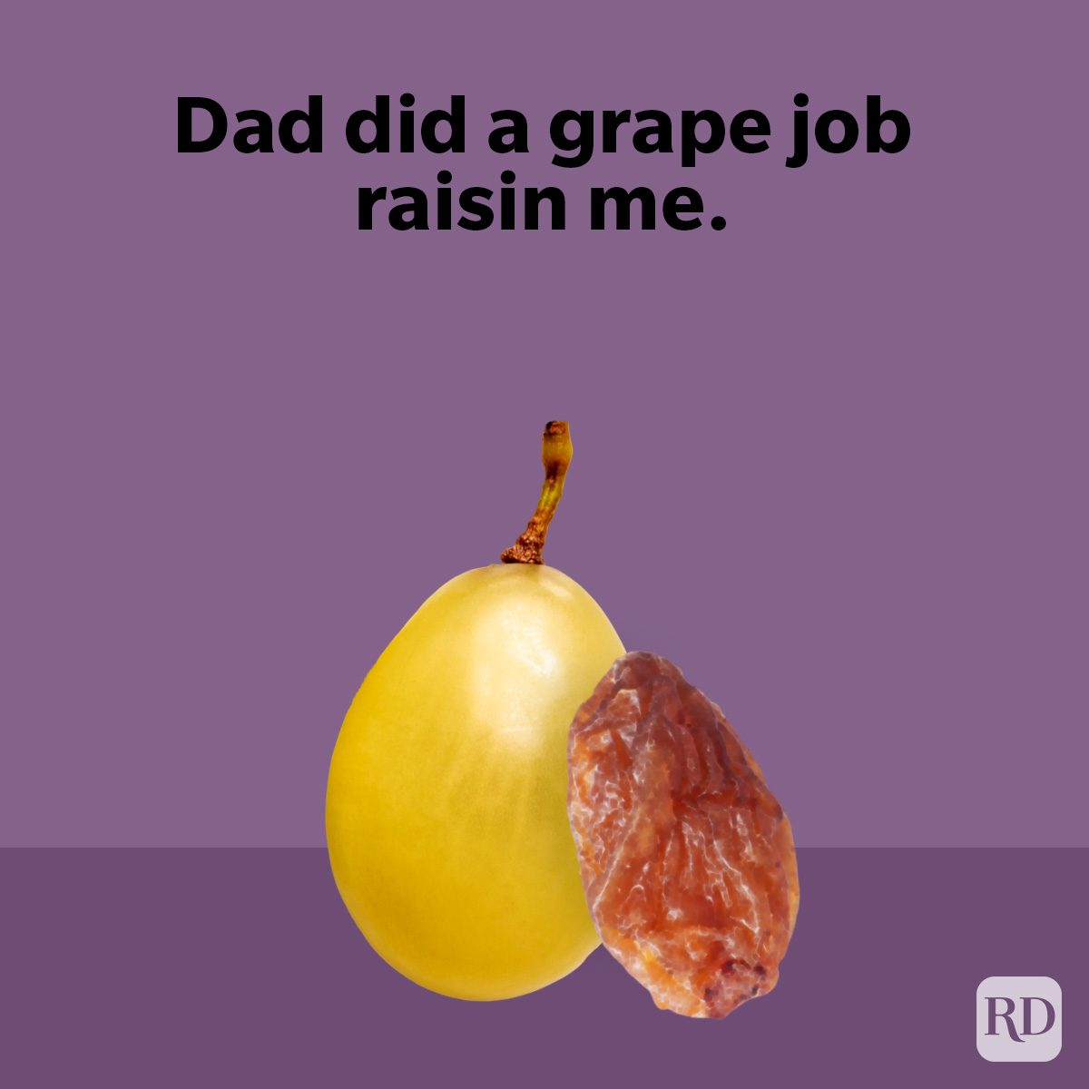 Dad Joke Puns