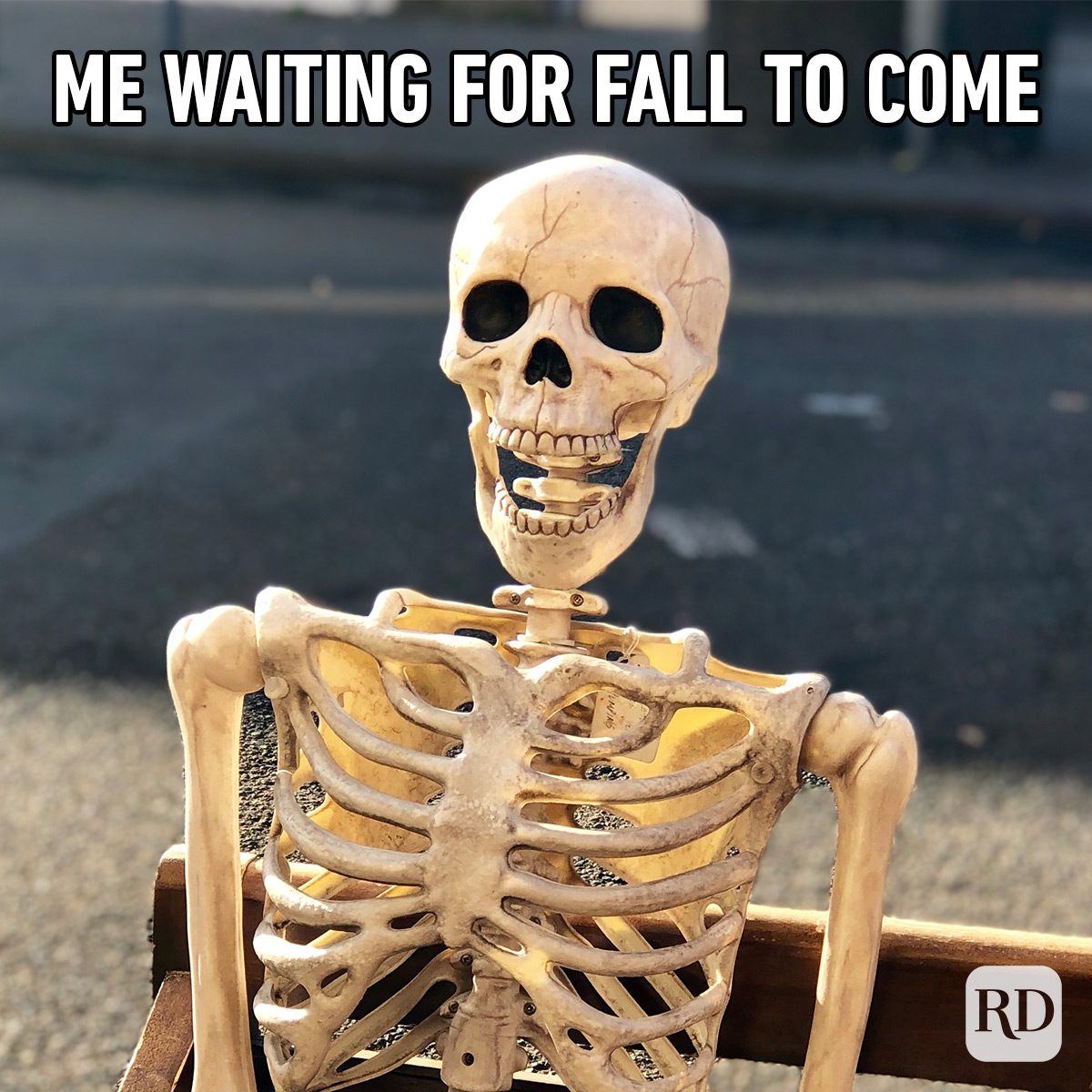 Funny Fall Memes To Perfectly Sum Up Autumns Humor