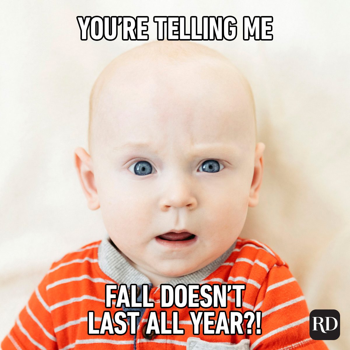Funny Fall Memes To Perfectly Sum Up Autumns Humor